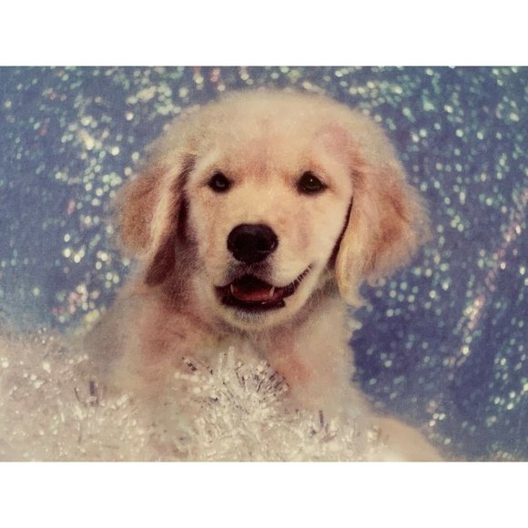 1995 Partytime Puppy Plate - Paulette Braun - Golden Puppy Portraits Collection - Picture 3 of 8